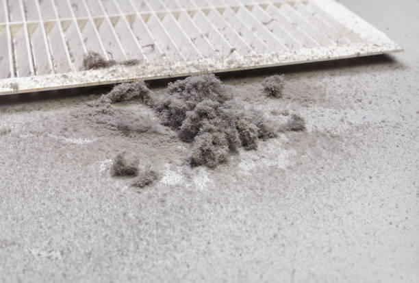 Best Best Air Duct Cleaning Company  in Keaau, HI