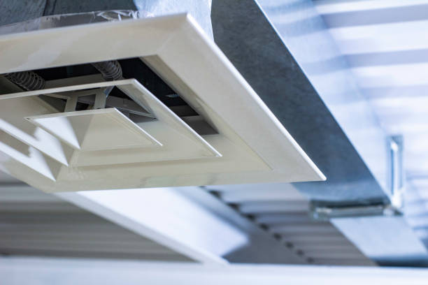 Best Dryer Vent Cleaning Services  in Keaau, HI