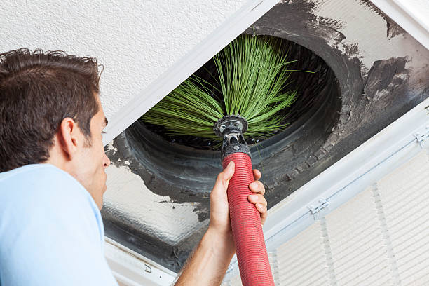 Best Duct Cleaning for Homes  in Keaau, HI